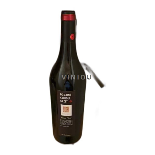 Linguadoca Non specificato Domaine Caujolle Gazet Andantino 2023