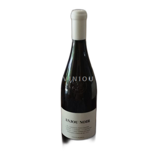 Loiretal Anjou Domaine Belargus Anjou Noir 2022
