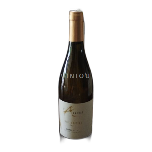 Valle del Loira Saumur Domaine L'Austral Treillaujeard 2021