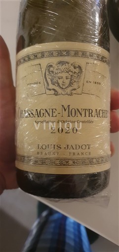 Burgundija Chassagne-Montrachet Louis Jadot 2020