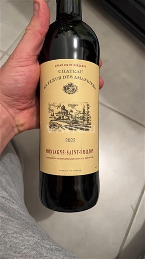 Bordeaux Montagne-Saint-Émilion Château La Fleur des Amandiers 2022