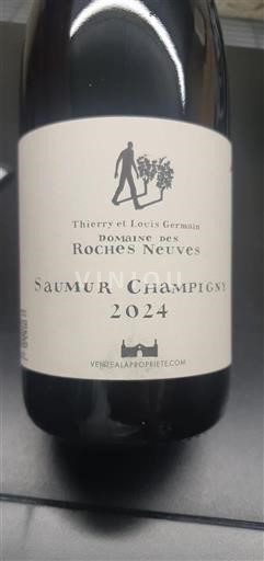 Vallée de la Loire Saumur-champigny Domaine Des Roches Neuves 2024