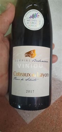 Loiretal Coteaux-du-Layon Domaine Bodineau Fleur de Schiste 2017