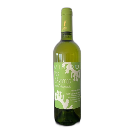 Languedoc-Roussillon Saint-Guilhem-le-Désert Mas Agamas Nòstre Mescladis 2023