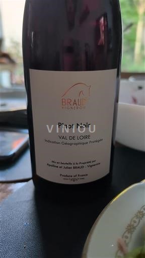 Dolina Loare Braud Vigneron Pinot Noir 2024