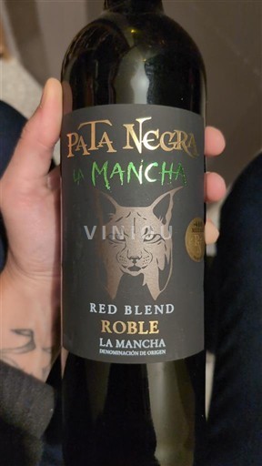 Castilla-La Mancha La Mancha Pata Negra Roble 2023