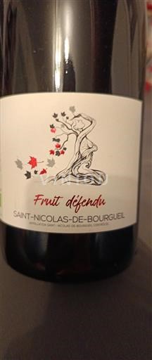 Valle della Loira Saint-Nicolas-De-Bourgueil Fruit défendu Senza annata