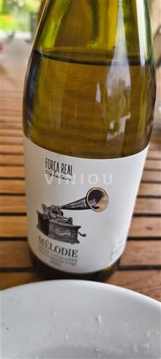 Languedoc og Roussillon Catalansk skråning Força Real Mélodie 2022