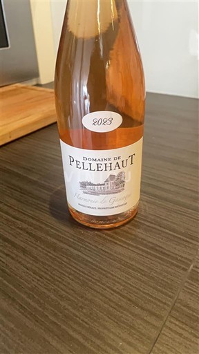 Sudoeste Côtes de Gascogne Domaine de Pellehaut 2023