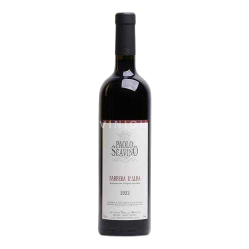 Piemonte Barbera d'Alba Paolo Scavino Barbera d'Alba 2022