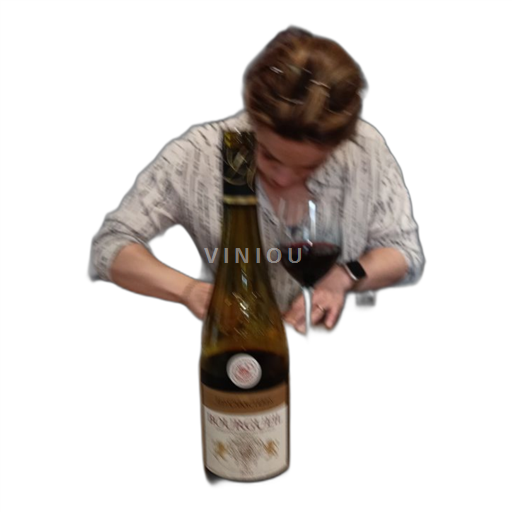 Loire Valley Bourgueil Les Caractères V 2023