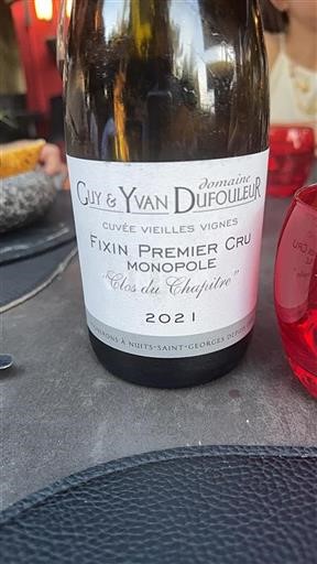 Burgundija Fixin Premier Cru Domaine Guy & Yvan Dufouleur Vieilles Vignes 2021
