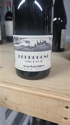 Borgonha Jean-Paul Brun Terres Dorées 2024