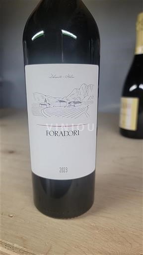 Wines of Trentino-Alto Adige Unspecified Foradori 2023