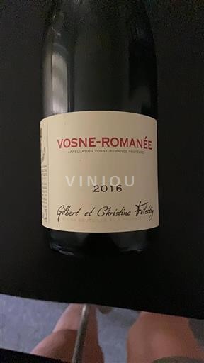 Burgund Vosne-Romanée Gilbert et Christine Féletig 2016