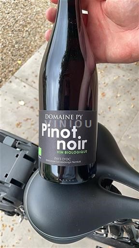 Languedoc-Roussillon Pays d'Oc Domaine Py Pinot Noir 2024