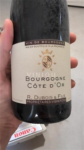 Burgund Burgund Côte d'Or R. Dubois & Fils Ohne Jahrgang