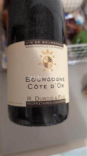 Burgund Burgund Côte d'Or R. Dubois & Fils Côte d'Or Ohne Jahrgang