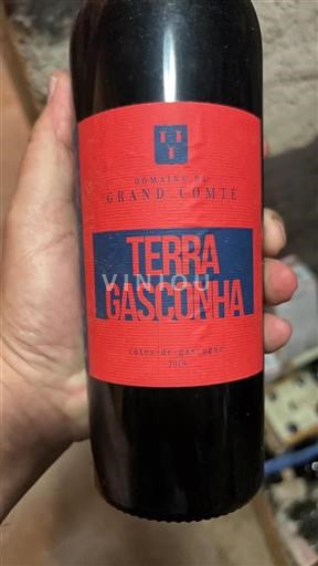 Sudoeste Côtes de Gascogne Domaine Grand Comté Terra Gasconha 2019