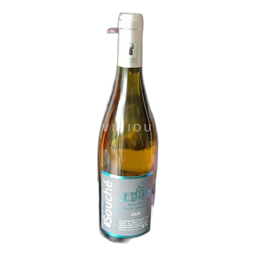 Vin Blanc sec Château Souche 2020 France Vallée de la Loire Muscadet-côtes-de-grand-lieu AOC