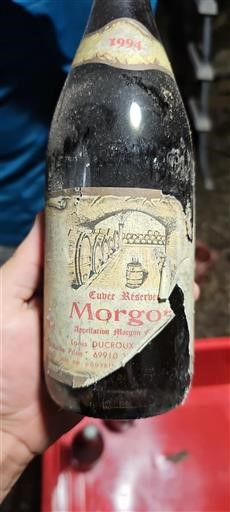 Beaujolais Morgon Lois Ducroux Réserve 1994