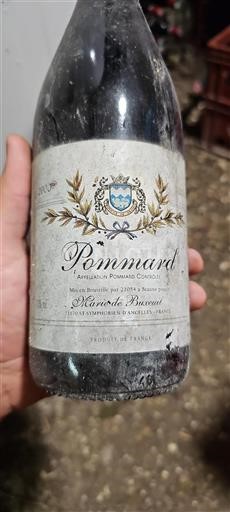 Borgogna Pommard Grand Cru Marief de Buxeuil 2000