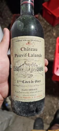 Bordeaux Nespecifikováno Château Pauvif-Lalande 1982