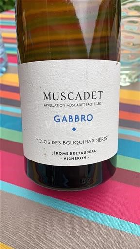 Loirevallei Muscadet Clos des Bouquinardières Gabbro Niet-geïntegreerd