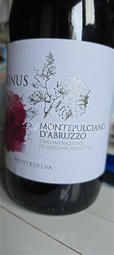 Abruzzo Montepulciano d'Abruzzo Monteselva Enis 2023