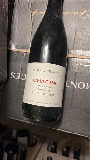 Patagonie Chacra Treinta y Dos 2017