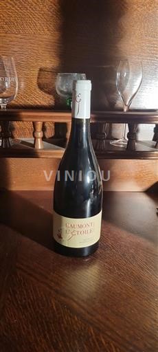 Zuidwest-Frankrijk Côtes de Gascogne Domaine Caumont 2022