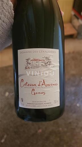 Dolina Loare Coteaux d'Ancenis Domaine Des Génaudières 2022