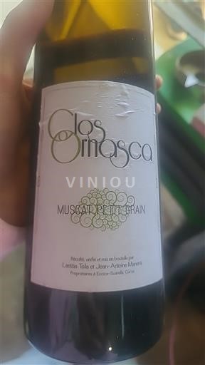 Korsika Muscat du Cap Corse Clos Ornasca Muscat Petit Grain Ohne Jahrgang