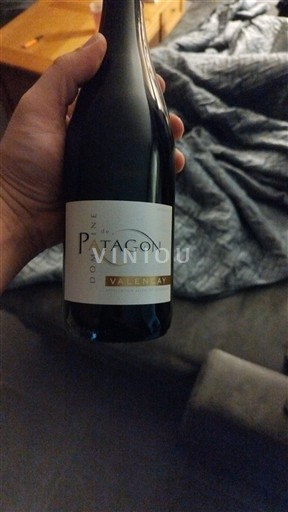 Loire-dalen Valençay Domaine Patagon 2023