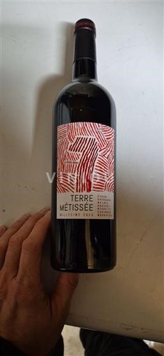 Languedoque Não especificado Terre Métissée 2023