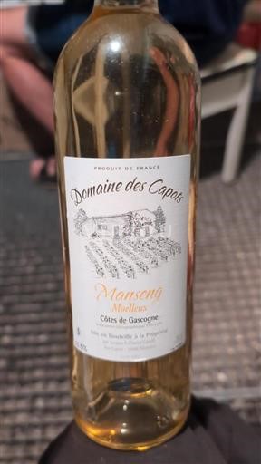 Zuidwest-Frankrijk Côtes de Gascogne Domaine Des Capots Manseng Moelleux Niet-geïntegreerd