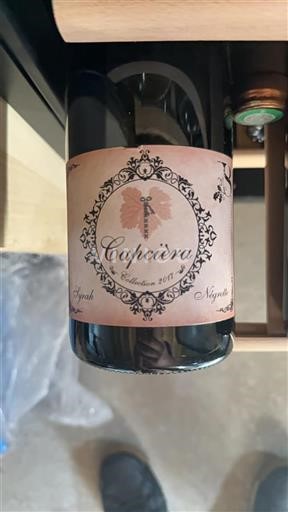 Zuidwest-Frankrijk Fronton Capcièra 2017