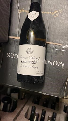 Valle della Loira Sancerre Domaine Delaporte La Côte d'Amigny 2022