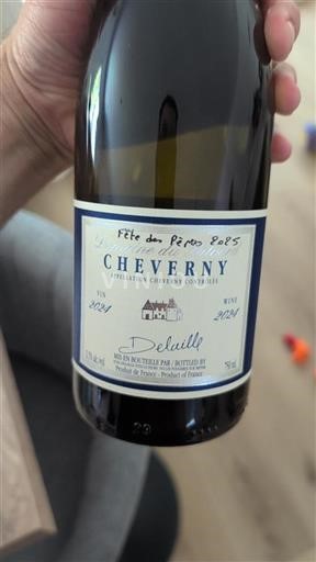 Loirevallei Cheverny Domaine Salvard 2024