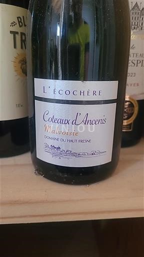 Údolí Loiry Coteaux-d'ancenis Domaine Haut Fresne L'écochère 2023