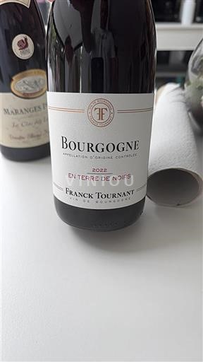 Bourgogne Franck Tournant En Terre de Noirs 2022