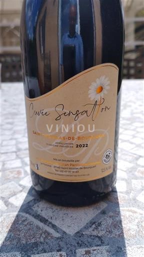 Valle della Loira Saint-Nicolas-De-Bourgueil Domaine Christian Pantaléon Sensation 2022