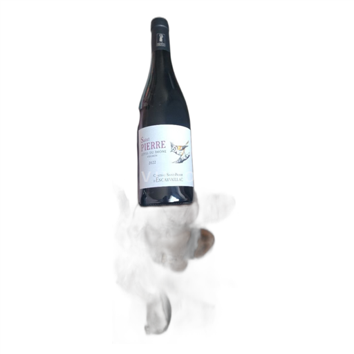 Vin Rouge sec Saint Pierre Château Saint-Pierre Escarvaillac 2022 France Vallée du Rhône Côtes-du-rhône AOC