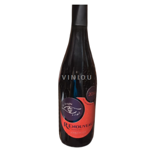 Valle del Loira Bourgueil Renouveau 2014