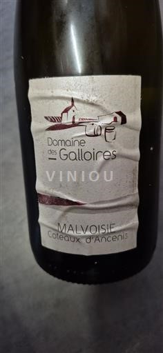 Vallée de la Loire Coteaux-d'ancenis Domaine Des Galloires 2022