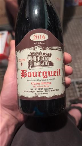 Valle del Loira Bourgueil EARL Fleury Père et Fils Emma 2016
