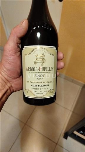 Jura Não especificado Régis Bulabois 2022