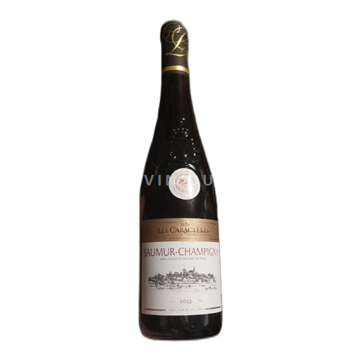 Vallée de la Loire Saumur-champigny Château Bellevignelesx 2023