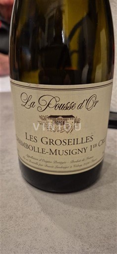 Burgundy Chambolle-Musigny Premier Cru La Pousse Or Les Groseilles Non-Vintage
