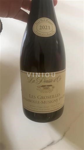 Bourgogne Chambolle-Musigny Premier Cru La Pousse Or Les Groseilles 2021